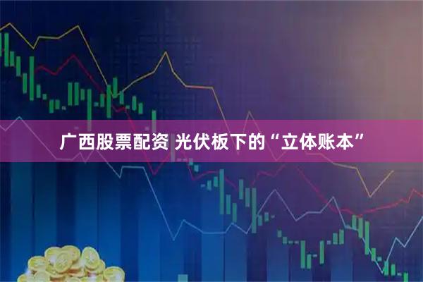 广西股票配资 光伏板下的“立体账本”