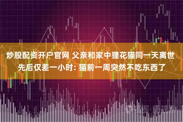 炒股配资开户官网 父亲和家中狸花猫同一天离世 先后仅差一小时: 猫前一周突然不吃东西了