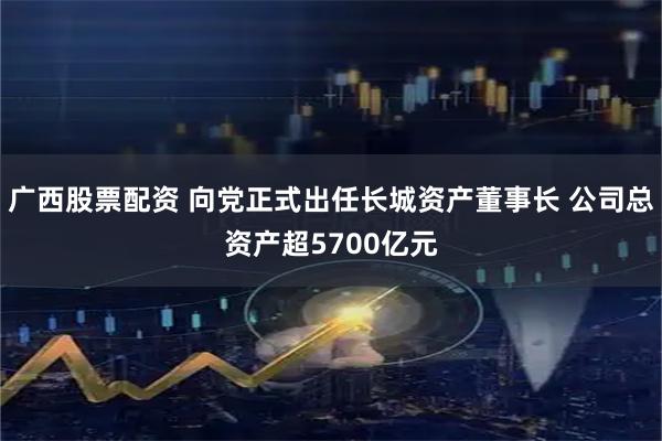 广西股票配资 向党正式出任长城资产董事长 公司总资产超5700亿元