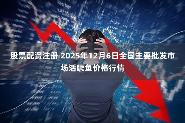 股票配资注册 2025年12月6日全国主要批发市场活鳜鱼价格行情