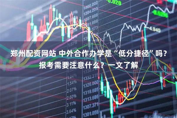 郑州配资网站 中外合作办学是“低分捷径”吗？报考需要注意什么？一文了解